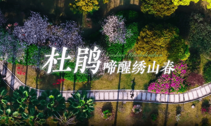 杜鹃啼醒绣山春 